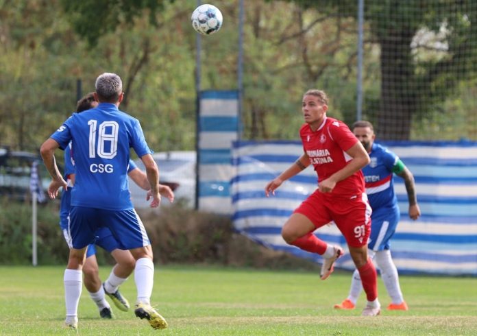 Lupii Profa CSM Slatina