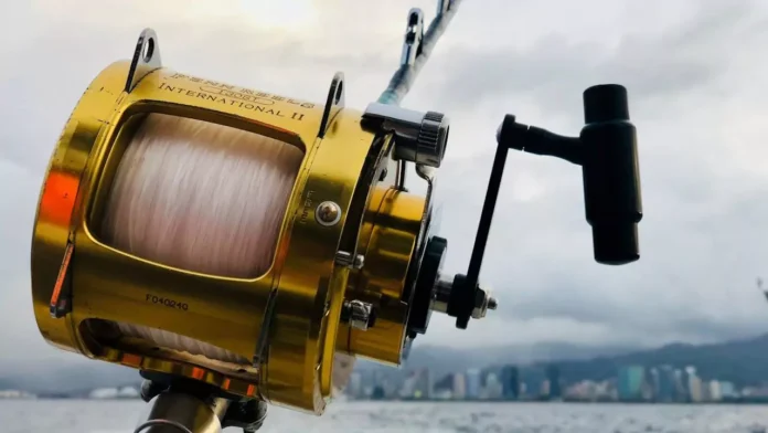 de-ce-mulinetele-crap-sunt-mai-mult-dect-piese-tehnice